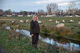 Bijdrage dierenartskosten en voeding