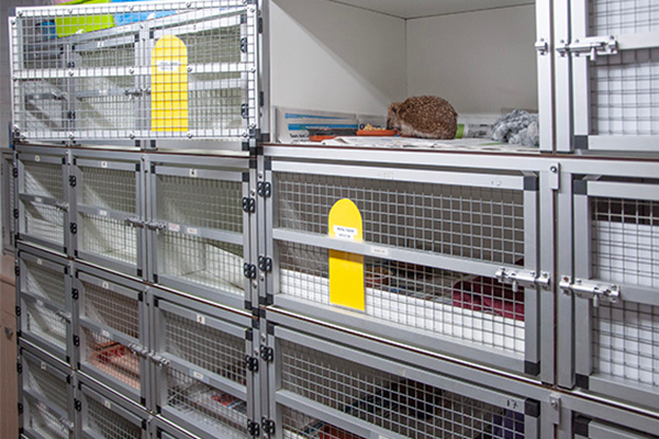 Contributing to new hedgehog shelters