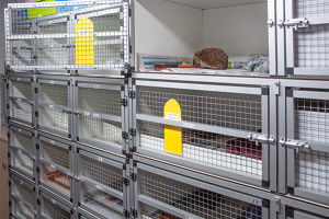 Bijdrage in de aanschaf van buitenhokken egels