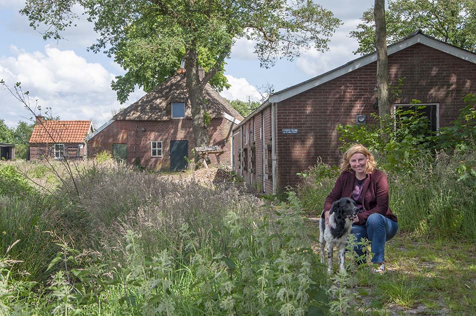 Inrichting van een huiskamer en patio voor honden