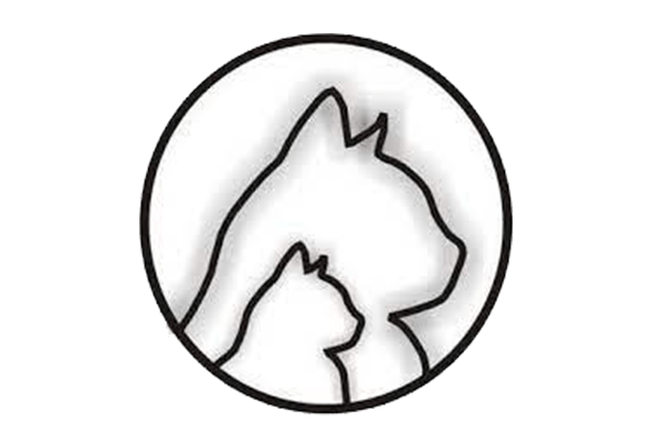 Bijdrage dierenartskosten kittens